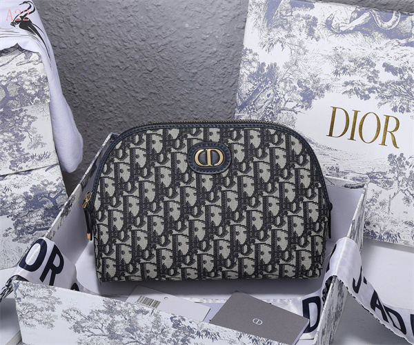 Dior Bags AAA 045